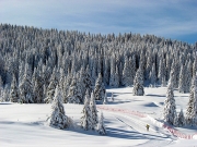 Folgaria in the winter time